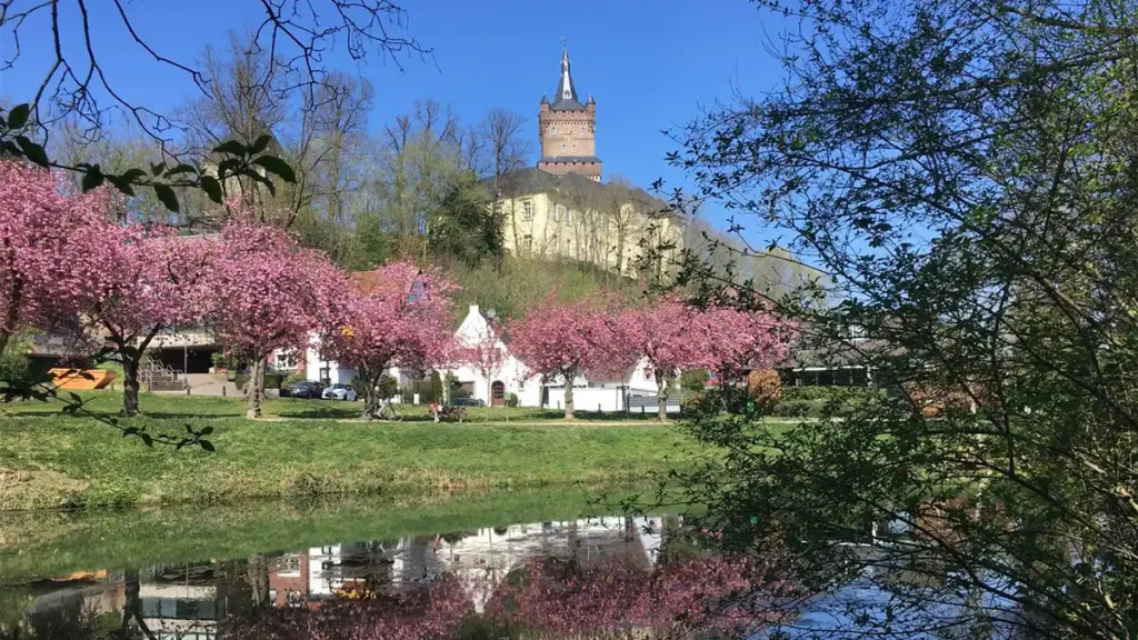 Die Schwanenburg in Kleve ist ein markantes Wahrzeichen der Kreisstadt.