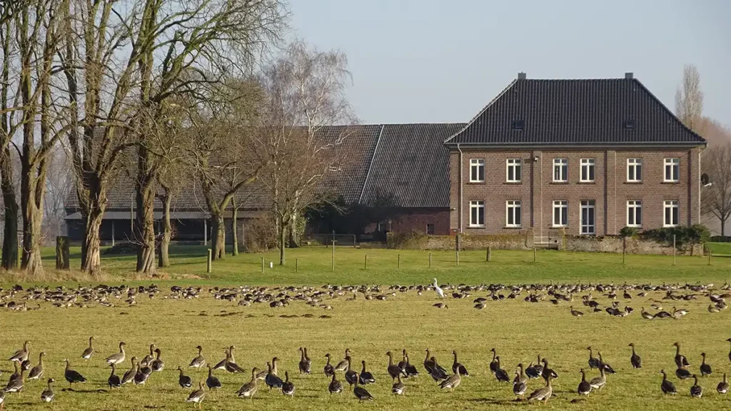 In Wisselward dominiert die Landwirtschaft.